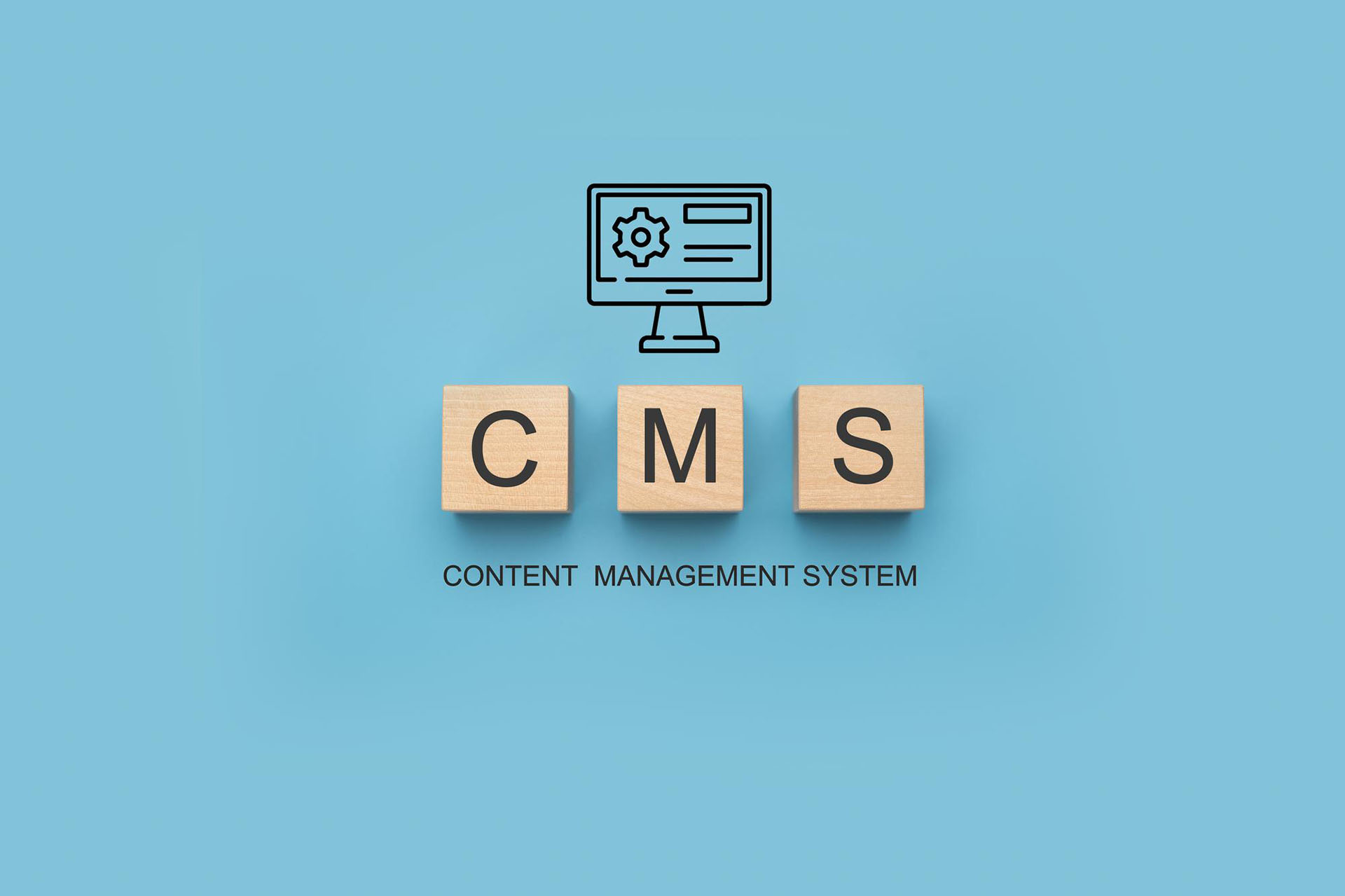cms development services